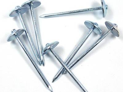 Seven galvanized smooth roofing nails to be shown.
