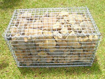 Welded wire mesh made into gabion  mesh to fill stones on the grassland.